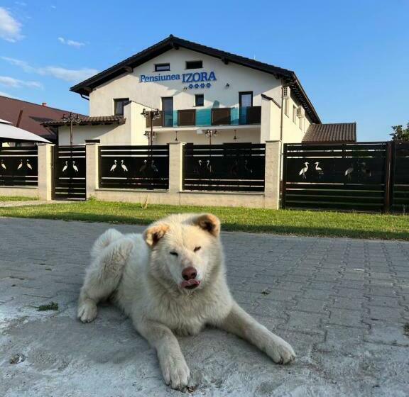 Pensiunea Izora