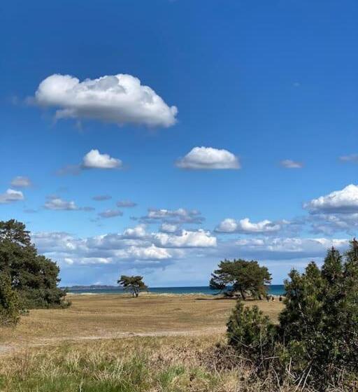 Pool Spa Sauna And Beach Beddingestrand