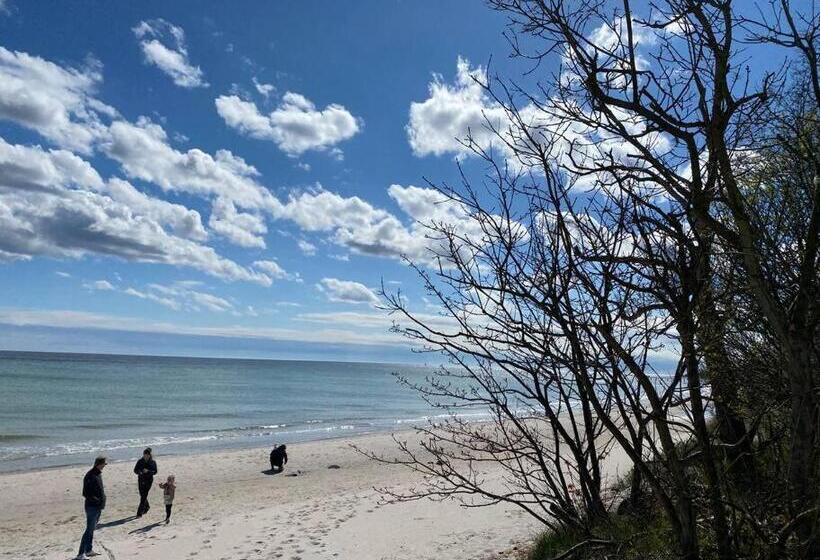 Pool Spa Sauna And Beach Beddingestrand