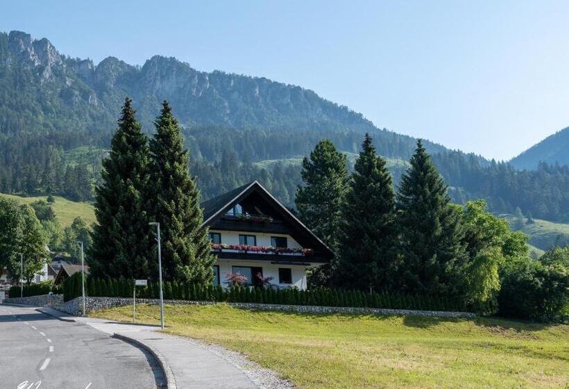 Rož Ca Apartments With Mountain View
