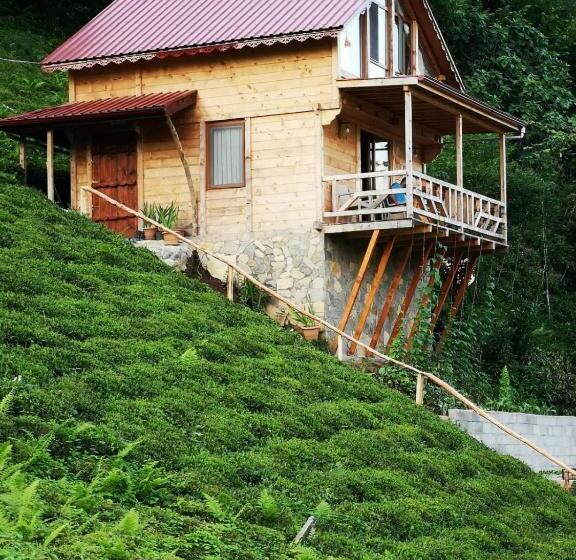 Vadi Dağ Evi Bungalov