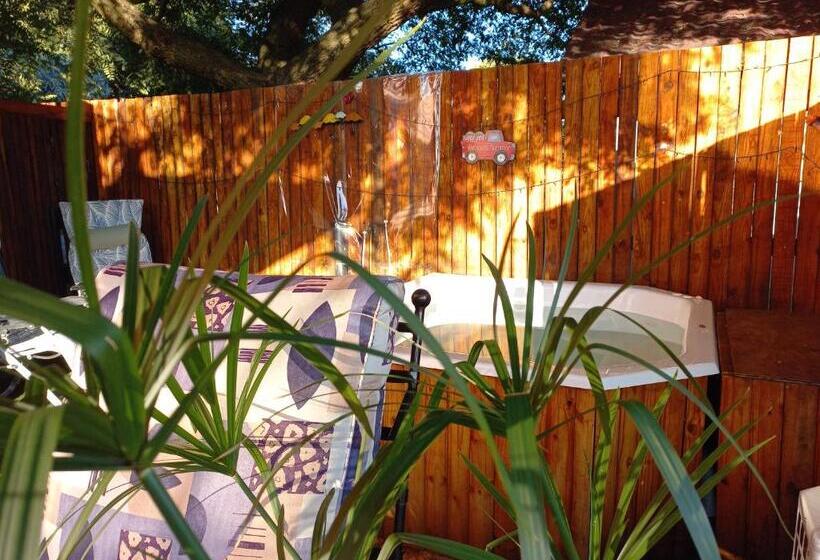 Windsong Living The Nest