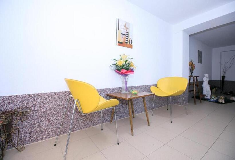 мини студио рози