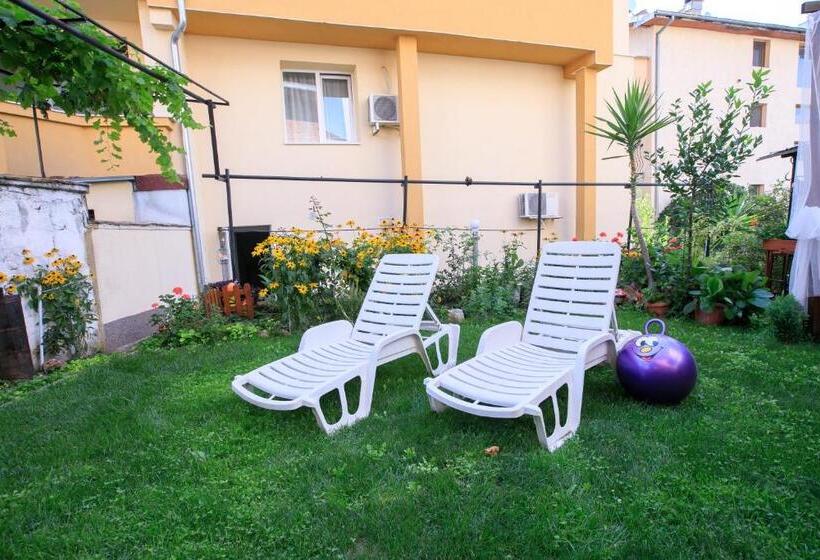 мини студио рози