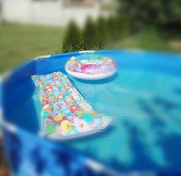 вила полина