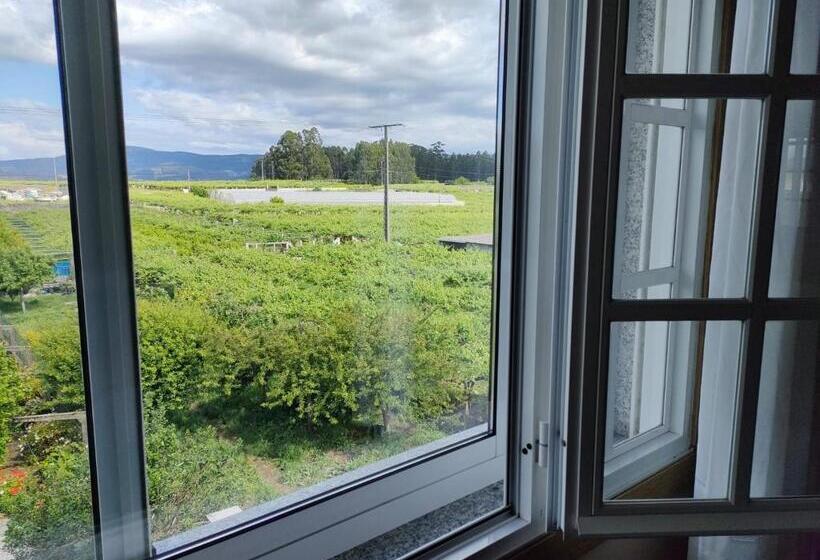 A Grenla Entre Viñedos