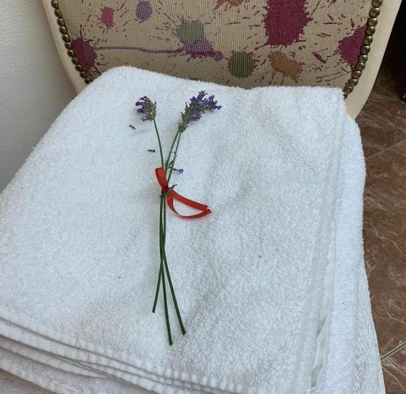 Alquiler Temporario Alaguthe