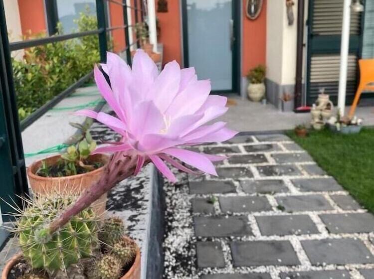 B&b Ruota Di Carretto