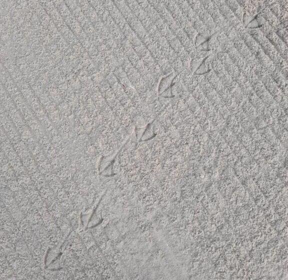 Beautiful Apartment 100mts Near The Beach In Port Melbourne