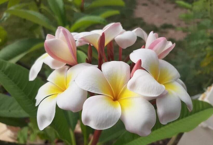 مبيت وإفطار La Mia Casa Nelle Marche