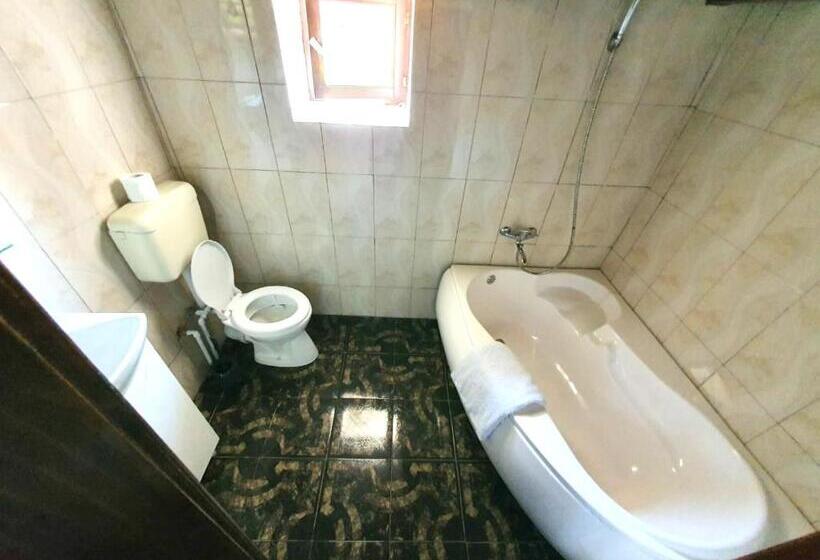 Casa Din Colțul Cetății