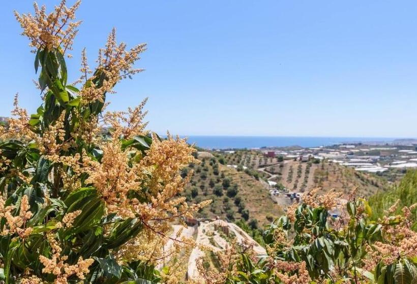 Casa La Yedra Algarrobo By Ruralidays