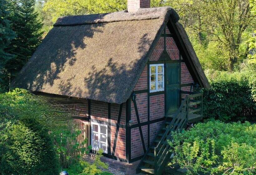 Ferienhaus Unter Reet Im Heidedorf Sankt Dionys Bei Lüneburg