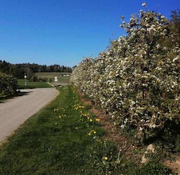 Ferienwohnung Hengnau In Wasserburg Am Bodensee