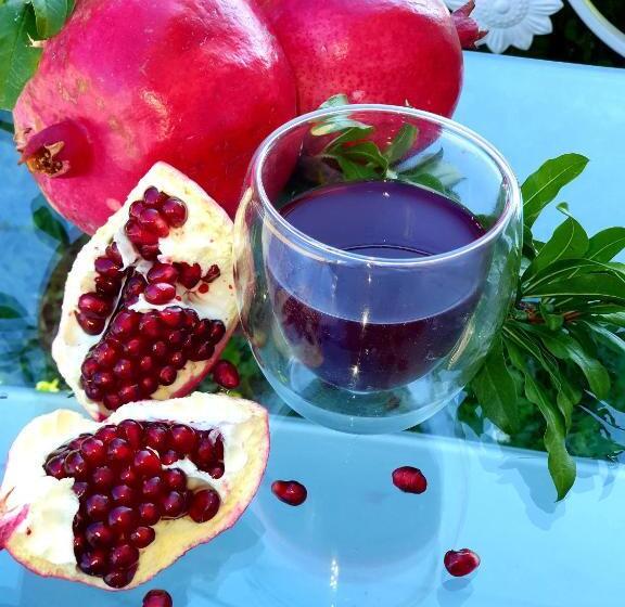 호텔 хотел дани