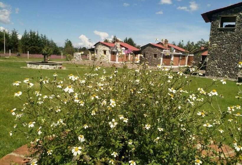 فندق Cabañas El Pedregal