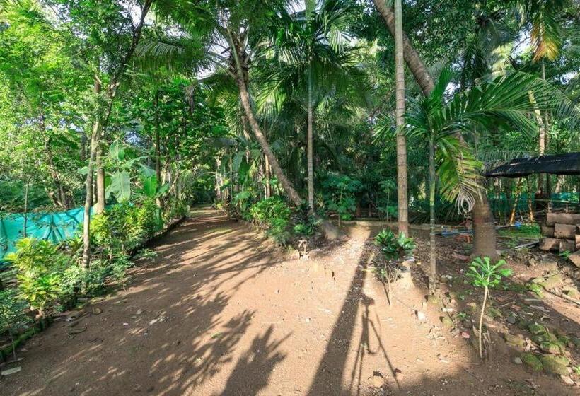 Luxury Gypsie 3bhk Villa Alibaug