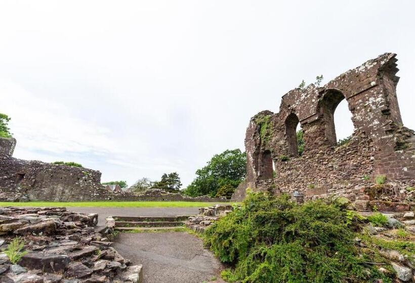 Milo S Place Is A Home From Home