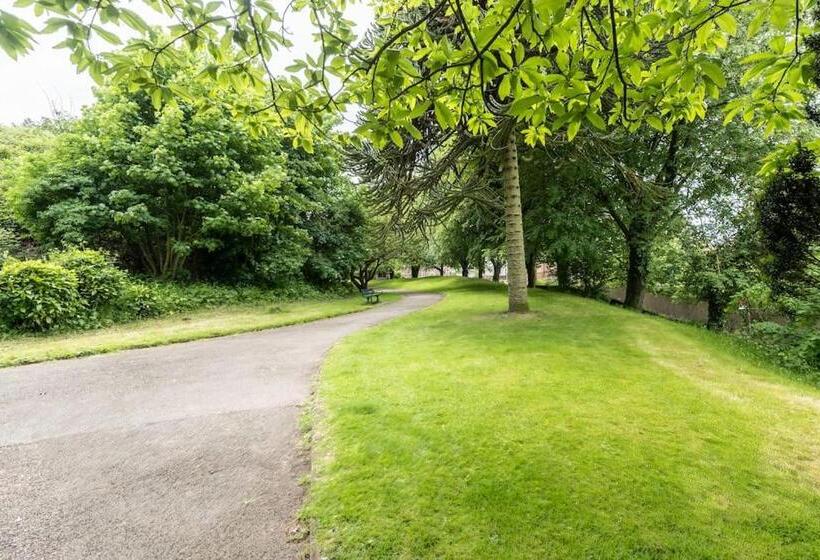 Milo S Place Is A Home From Home