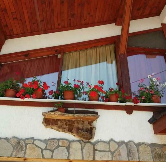 פנסיון къща за гости орфей