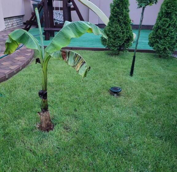 ペンション Anda Vendégház