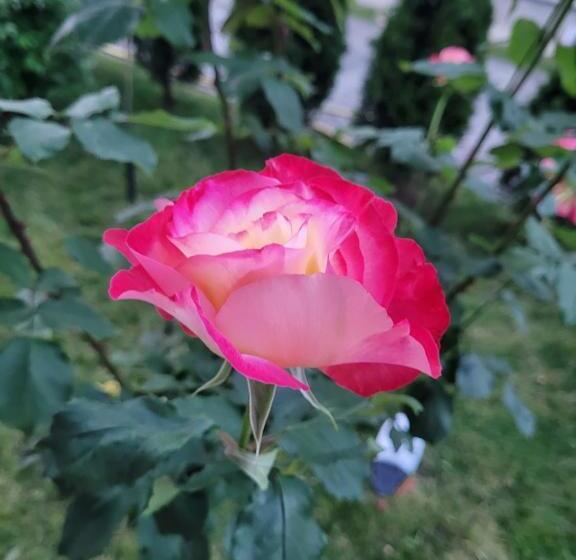 ペンション Anda Vendégház