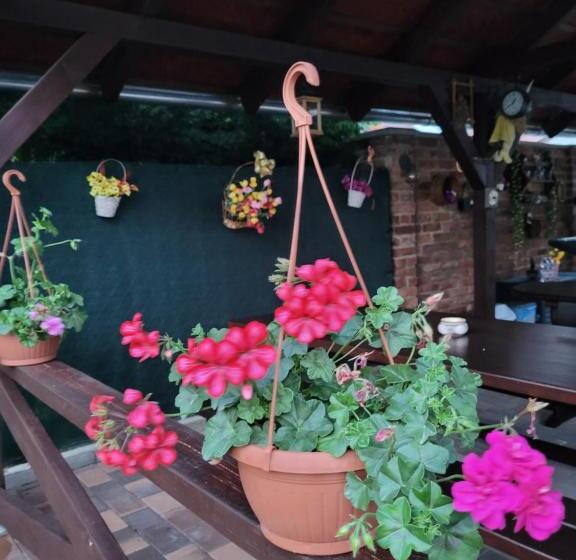 ペンション Anda Vendégház