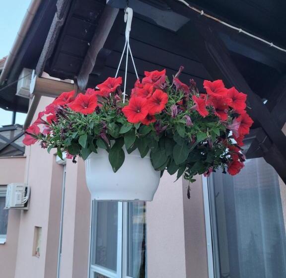 ペンション Anda Vendégház