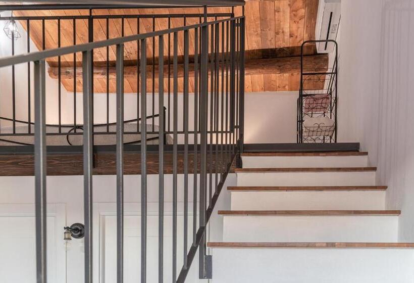 膳宿费 Appartamenti Monte Selce