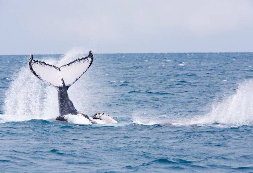 펜션 Casa 3a Tivoli Ecoresidences