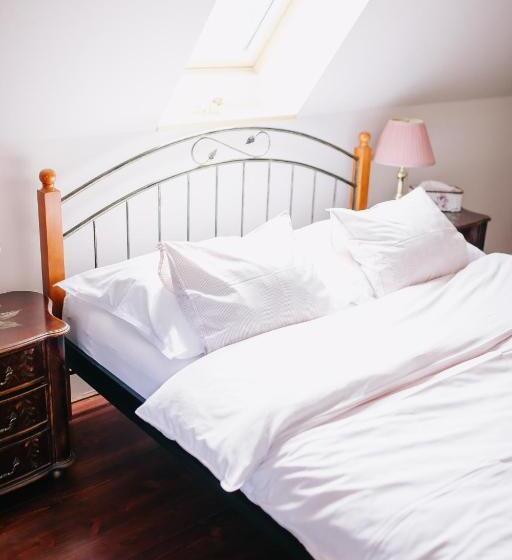 膳宿费 Penzion Na Staré Poště