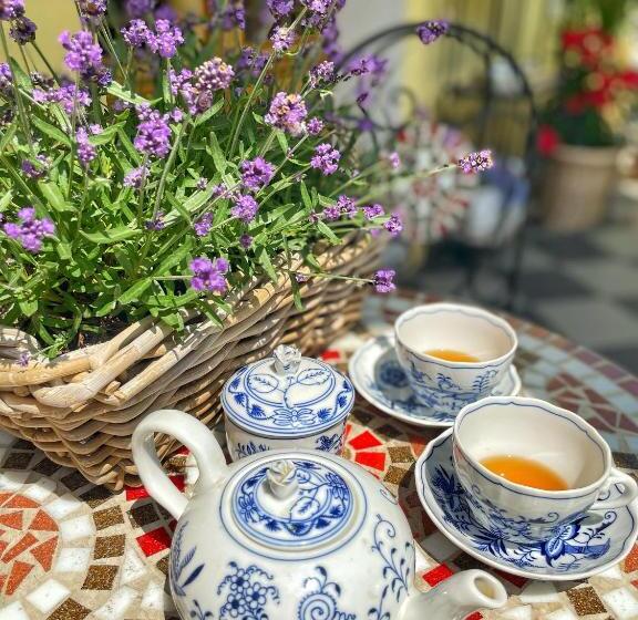 膳宿费 Penzion Na Staré Poště