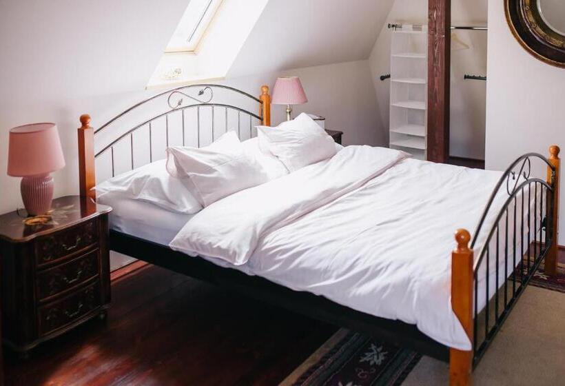 膳宿费 Penzion Na Staré Poště