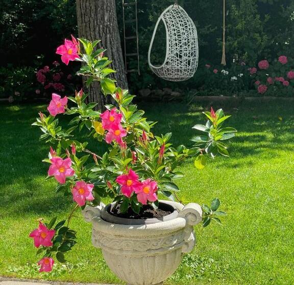 膳宿费 Penzion Na Staré Poště