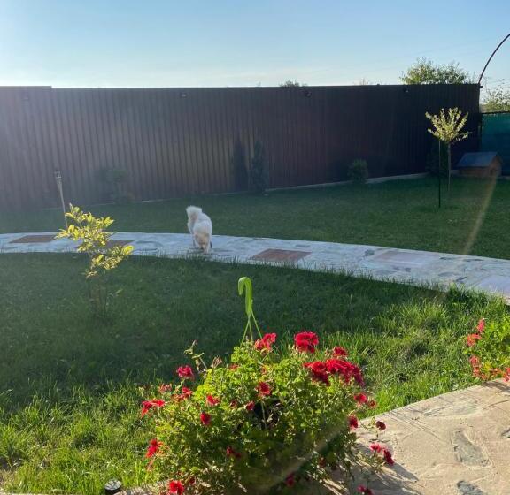 ペンション Vila  Melissa Cazare