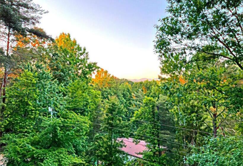 Smokies Hill Top Cabin Mountain Views 2 Miles To Town Pet Friendly