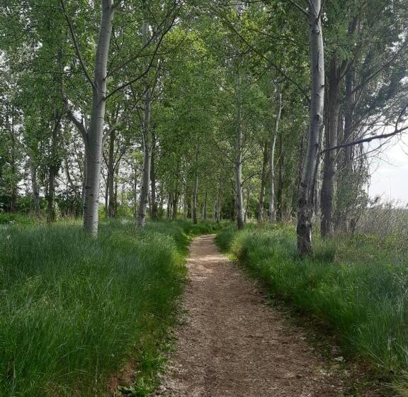 Tordesillas, Miralduero