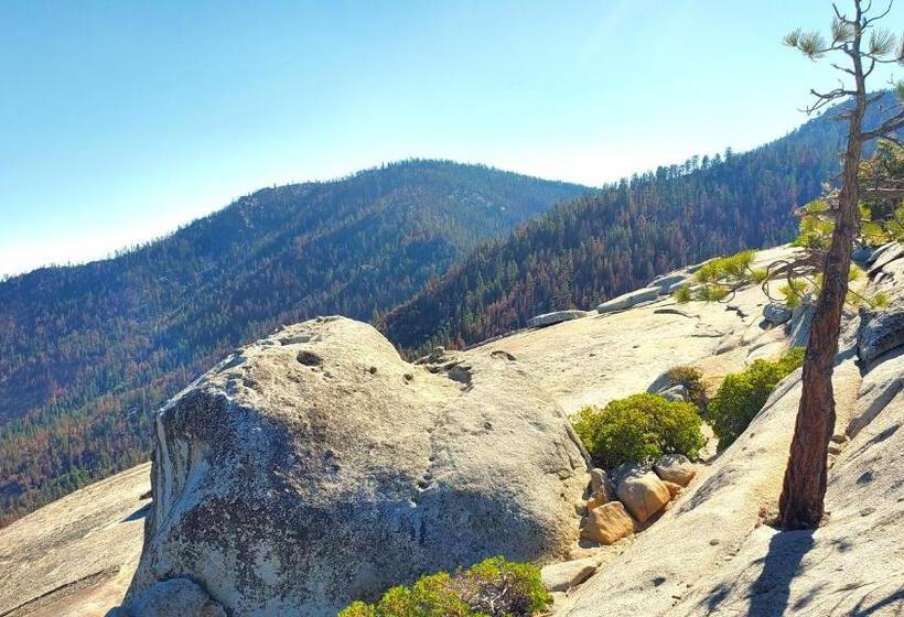 Trout River Cabin Secluded Riverfront Adventure