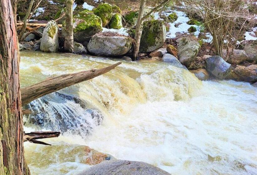Trout River Cabin Secluded Riverfront Adventure