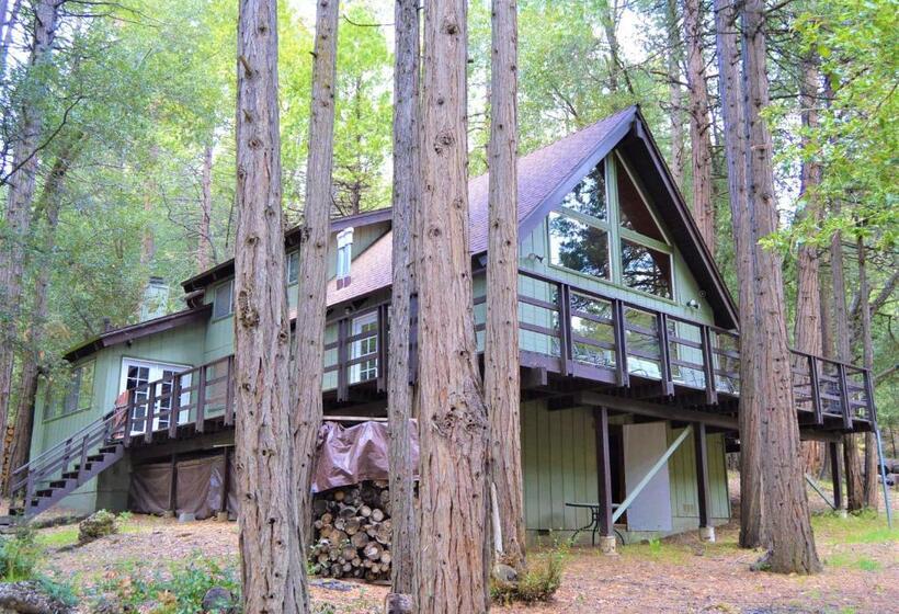 Trout River Cabin Secluded Riverfront Adventure