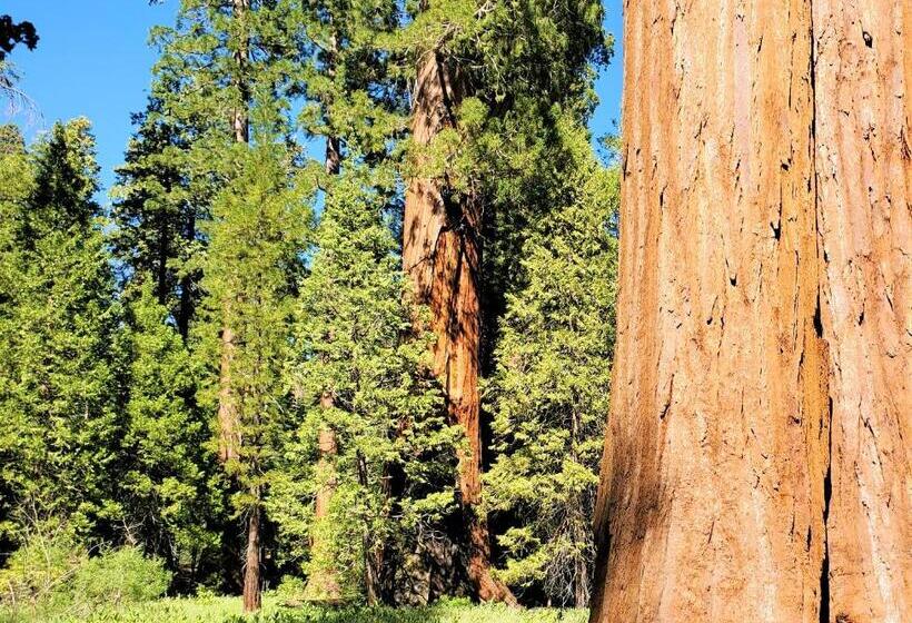 Trout River Cabin Secluded Riverfront Adventure