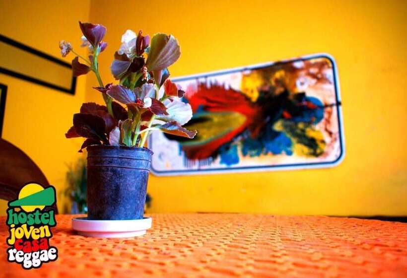 Hostel Joven Casa Reggae