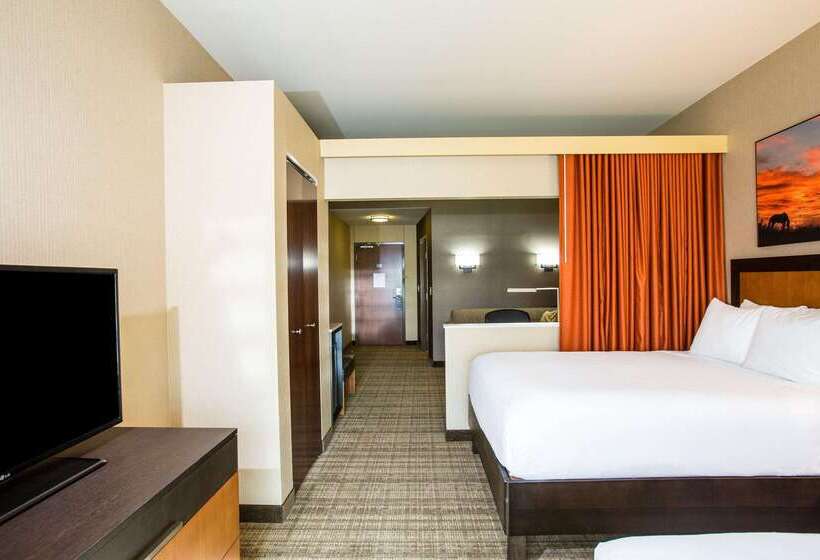 Cambria Hotel Plano   Frisco