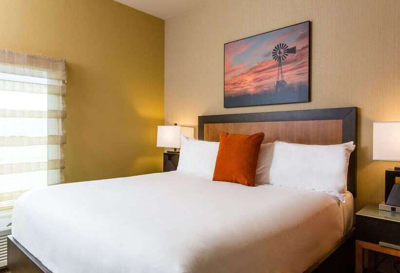 Cambria Hotel Plano   Frisco