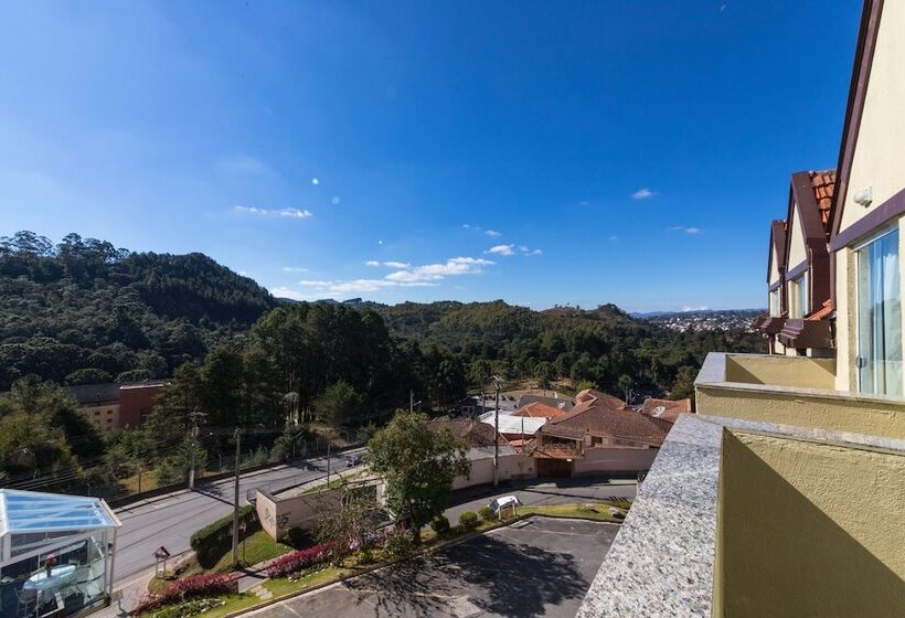 호텔 Pousada Parque Das Flores