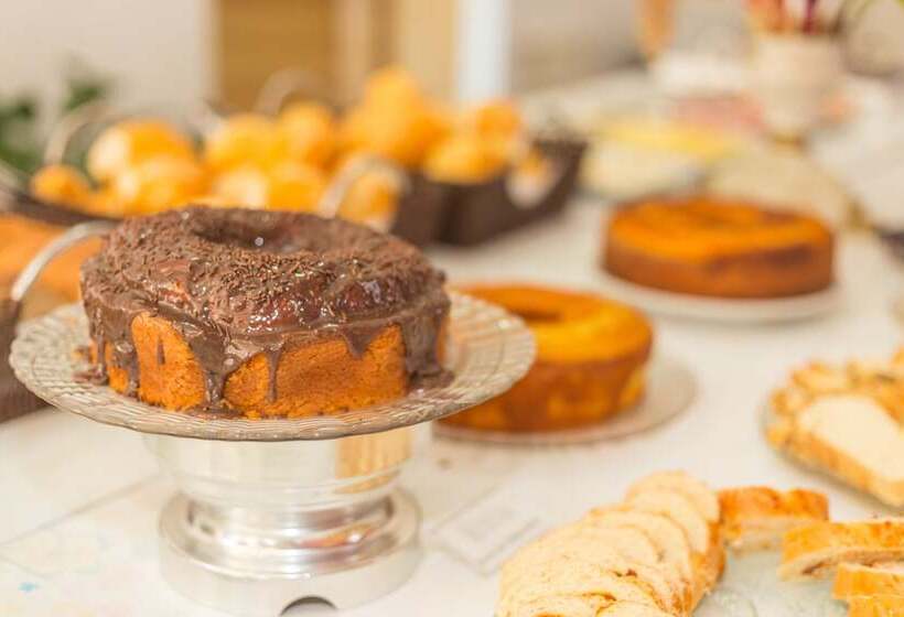 호텔 Pousada Parque Das Flores