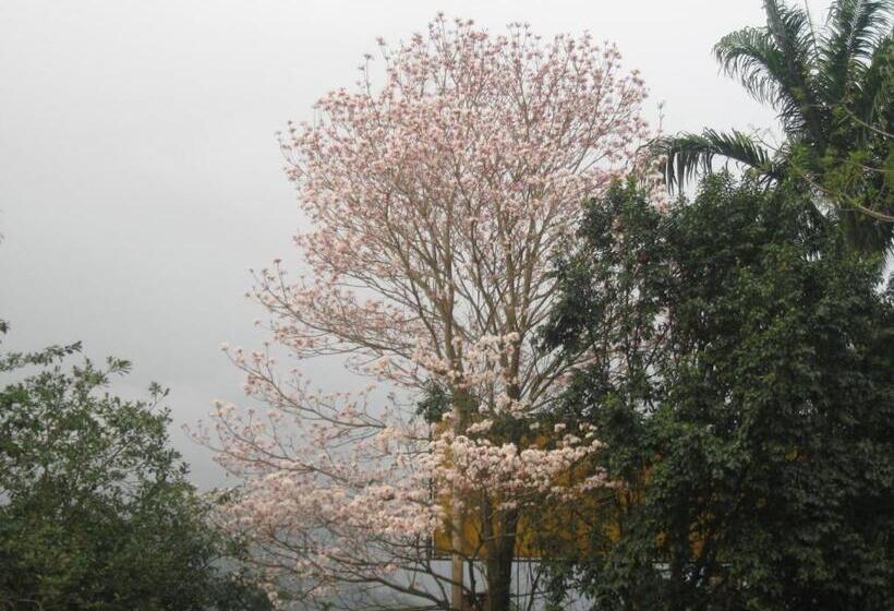 酒店 Pousada Portal Da Palmeira