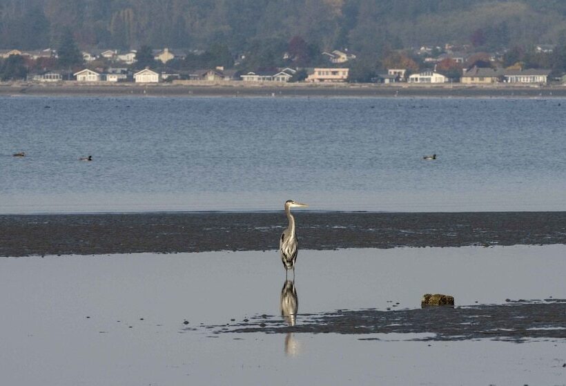 호텔 Raintree S Sandcastle, Birch Bay