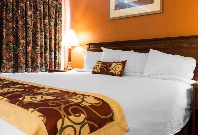 فندق Rodeway Inn