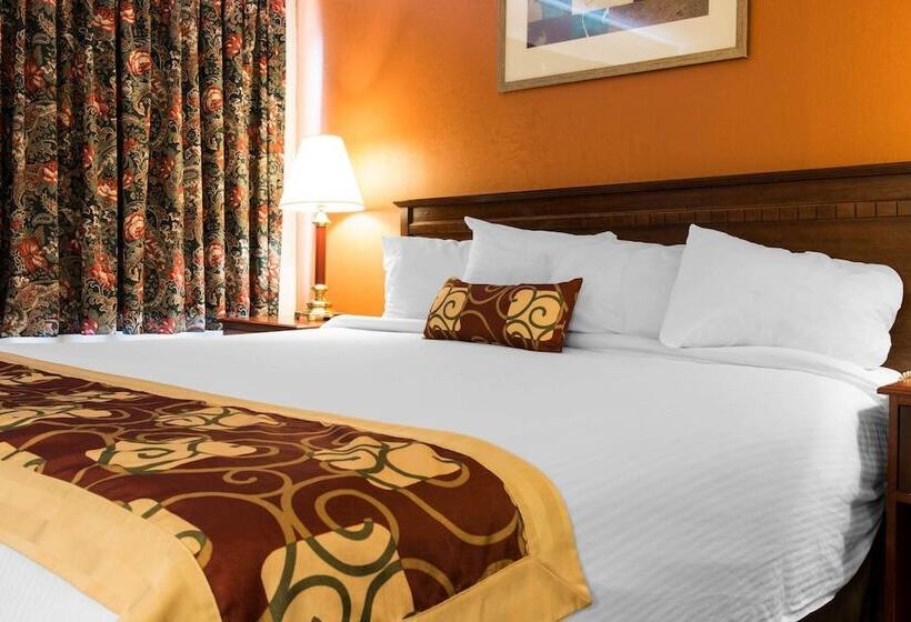 فندق Rodeway Inn